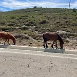 Con Bano Privado Y Jardin Cerca De Playas Quarto em Acomodações Particulares Boó de Piélagos